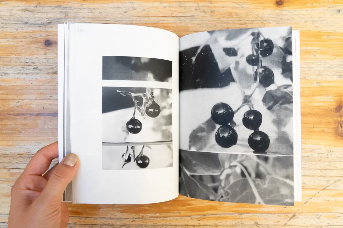 Shadow casting compilation — Aistė Marija Stankevičiūtė, Arslane Smirnov, Amentia Siard-Brochard, Kamilė Krasauskaitė, Faustine Duval, Lukas Danys — curated by Daura Polonskytė, coordinated by Yves Bartlett